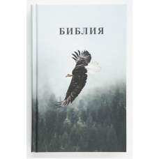 Библия 053 парящий орел