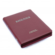 Библия ИПБ 057 MZTiG ИИЖ (Красный)