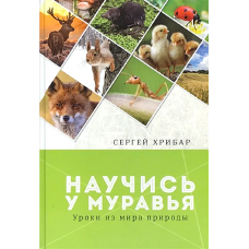 Научись у муравья