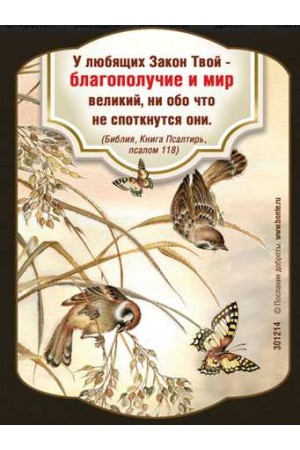 Магнит в ассортименте